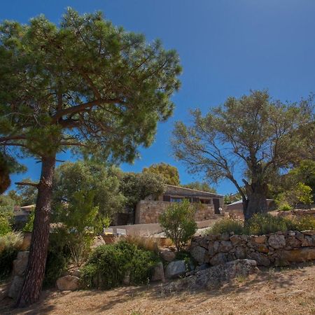 Villa Bodri, Maison En Pierre Avec Vue Mer Et Piscine Chauffee LʼÎle-Rousse Zewnętrze zdjęcie